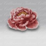 Tappeto Pivoine Habidecor