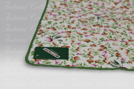 Canovaccio Rapanelli Bottaro