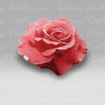 Tappeto Passion Habidecor